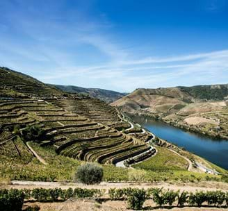 02 Douro Region, Viticulture And Quinta Do Seixo